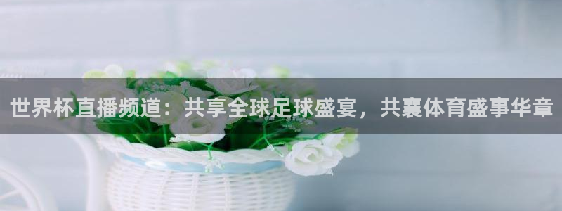 欧洲世预赛赛程表：世界杯直播频道：共享全球足球盛宴，共襄体育盛事华章