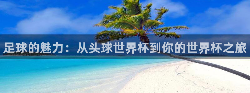 英格兰联赛杯直播：足球的魅力：从头球世界杯到你的世界杯之旅