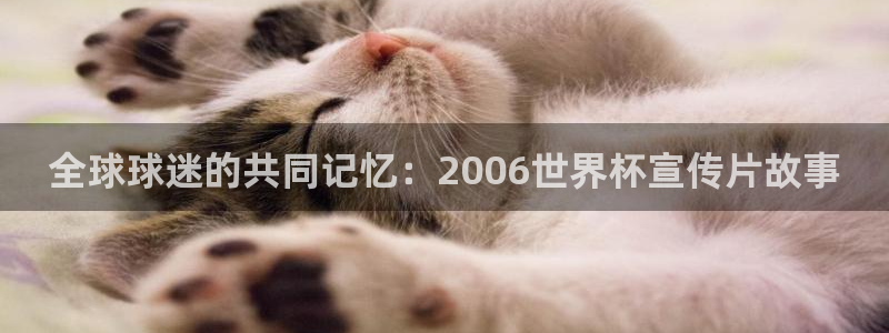 世界杯第一场比赛：全球球迷的共同记忆：2006世界杯宣传片故事