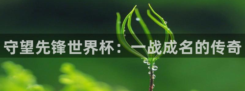 世预赛直播：守望先锋世界杯：一战成名的传奇