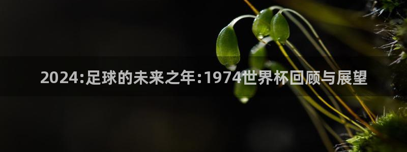 世界直播：2024:足球的未来之年:1974世界杯回顾与展望
