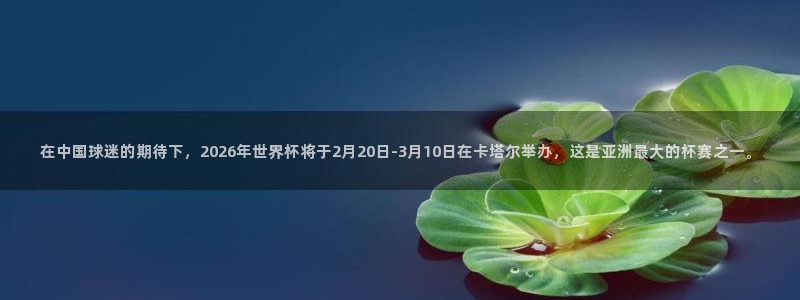 世界杯球队：在中国球迷的期待下，2026年世界杯将于2月20日-3月10日在卡塔尔举办，这是亚洲最大的杯赛之一。
