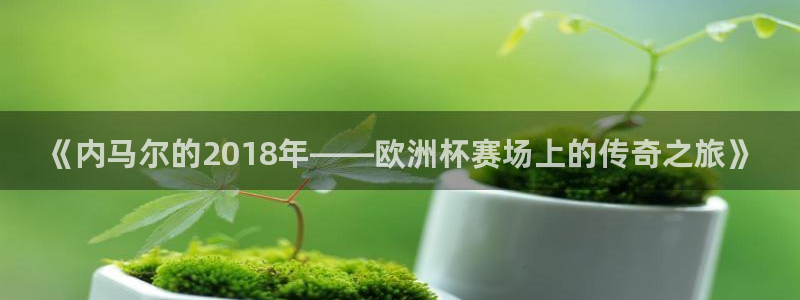 世界直播：《内马尔的2018年——欧洲杯赛场上的传奇之旅》
