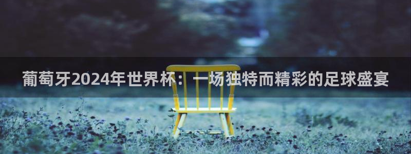 2026年世界杯对阵图：葡萄牙2024年世界杯：一场独特而精彩的足球盛宴