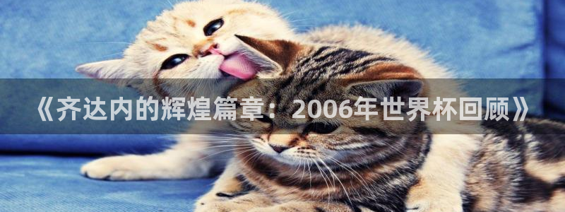 2026世界杯欧洲预选赛赛程表：《齐达内的辉煌篇章：2006年世界杯回顾》