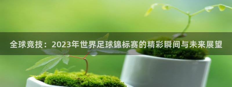 世界直播：全球竞技：2023年世界足球锦标赛的精彩瞬间与未来展望