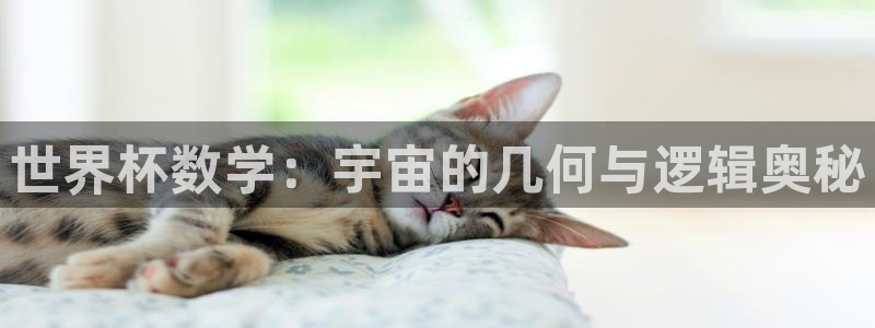 2026世预赛赛程：世界杯数学：宇宙的几何与逻辑奥秘
